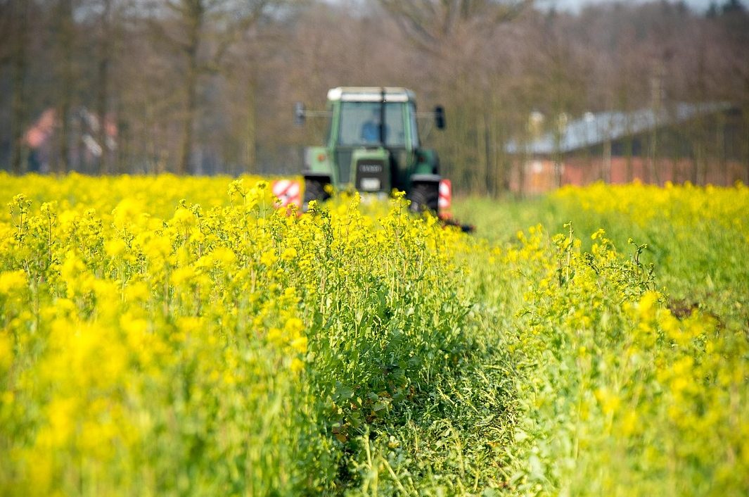 catch crop, tractor, field, cultivate, nature, agriculture, agricultural economics, agricultural machine, cultivator, agricultural engineering, spring, tractor, tractor, tractor, tractor, tractor, agricultural engineering