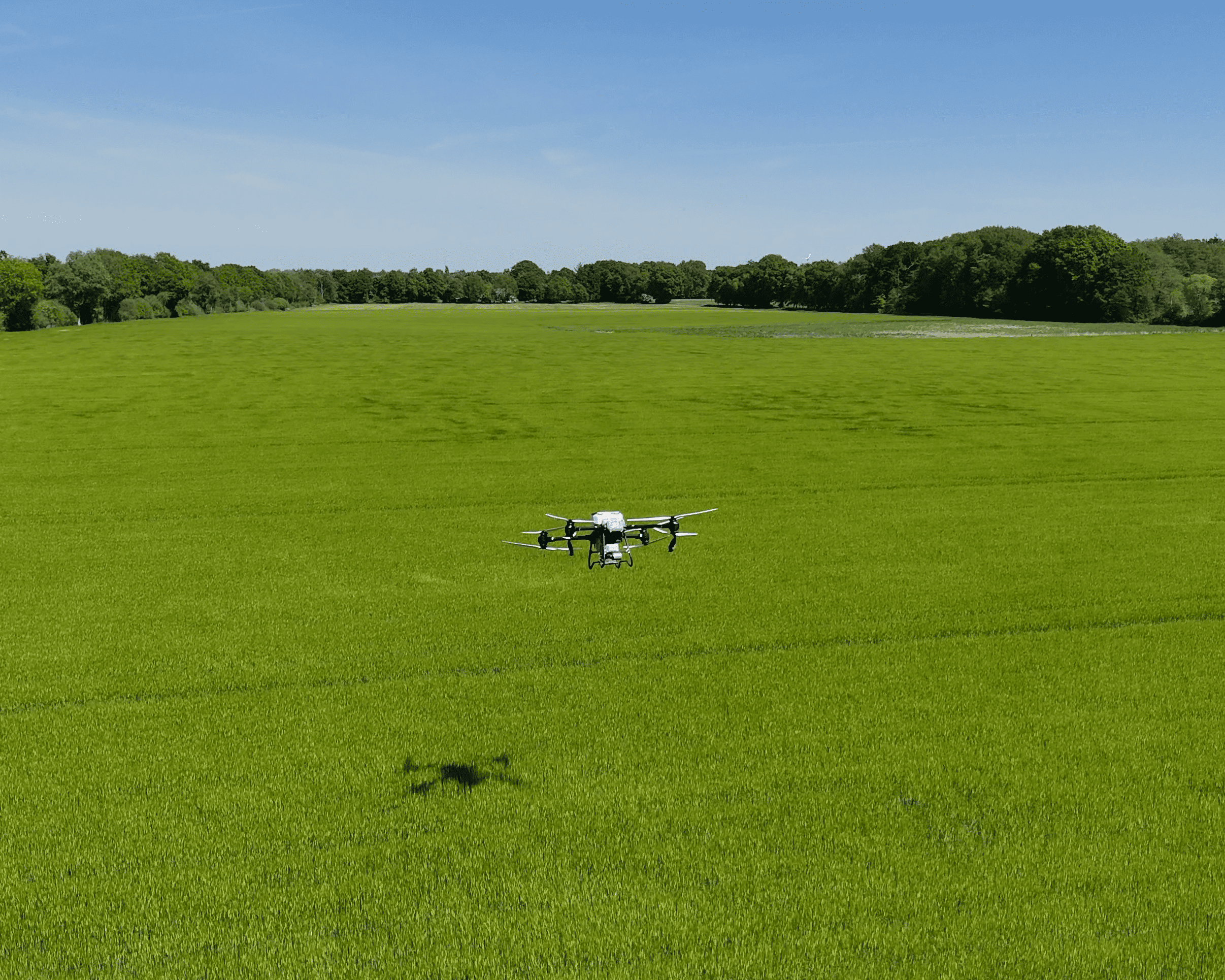 Untersaaten im Getreide - Etablierung von Untersaaten im stehenden Getreidebestand – flexibel, bodenschonend und termingenau.